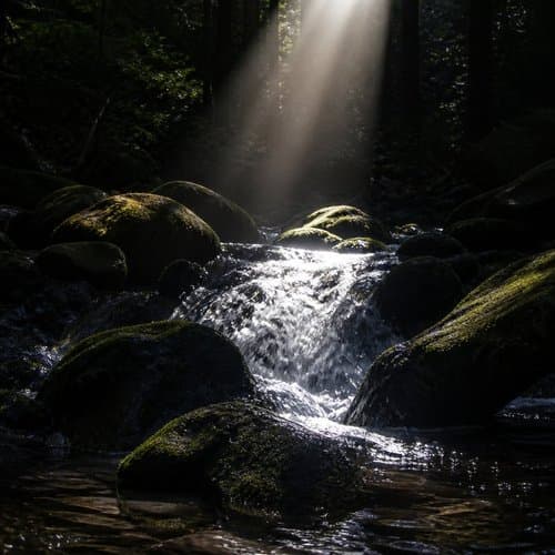 Under the Green Noise by Psalmix