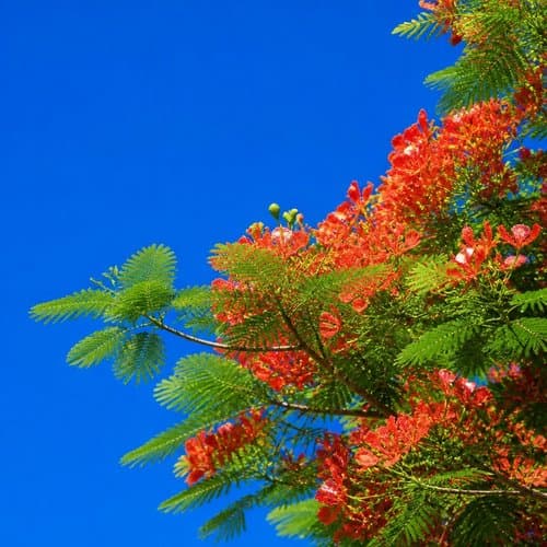 Thank You Under This Sky by Psalmix